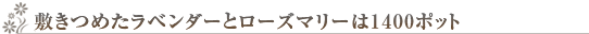 �~���߂����x���_�[�ƃ��[�Y�}���[��1400�|�b�g