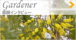 Gardener�@��t�C���^�r���[