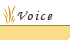 Voice�@���q�l�̐�