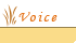 Voice�@���q�l�̐�